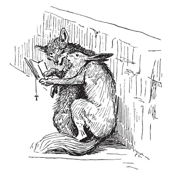 Liška Zajíc Sedící Blízko Zdi Čtení Knihy Vintage Kreslení Čar — Stockový vektor
