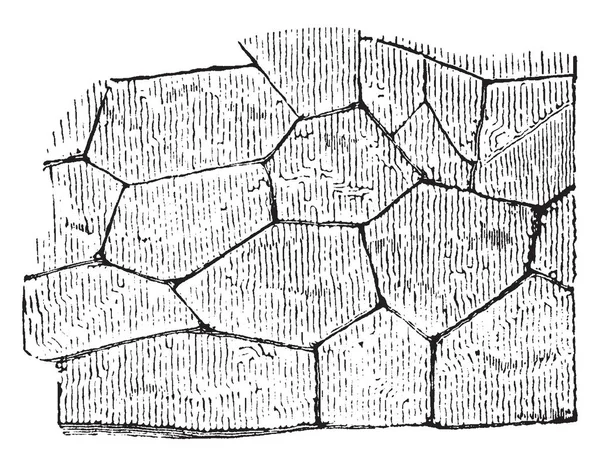 Maçonnerie Cyclopéenne Trouve Fois Grèce Construite Entièrement Colonies Position Dessin — Image vectorielle