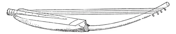 Egyiptomi Hárfa Firenzei Múzeum Vintage Vésett Illusztráció Ókori Antik Család — Stock Vector