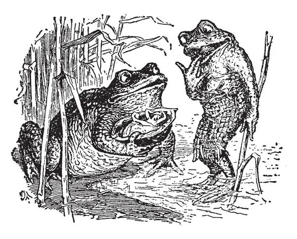 两只青蛙互相交谈 一只青蛙拿着一只里面几乎没有人的碗 上面画着古老的线条或雕刻插图 — 图库矢量图片