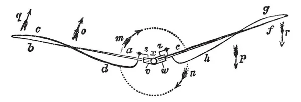 Esta Imagen Representa Tornillo Aéreo Elástico Con Hojas Retorcidas Que — Vector de stock