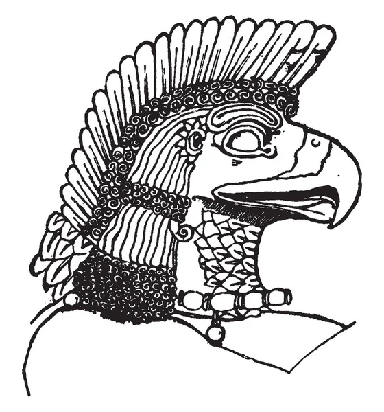 亚述鹰头是这种设计的自然图案 复古线条画或雕刻插图 — 图库矢量图片