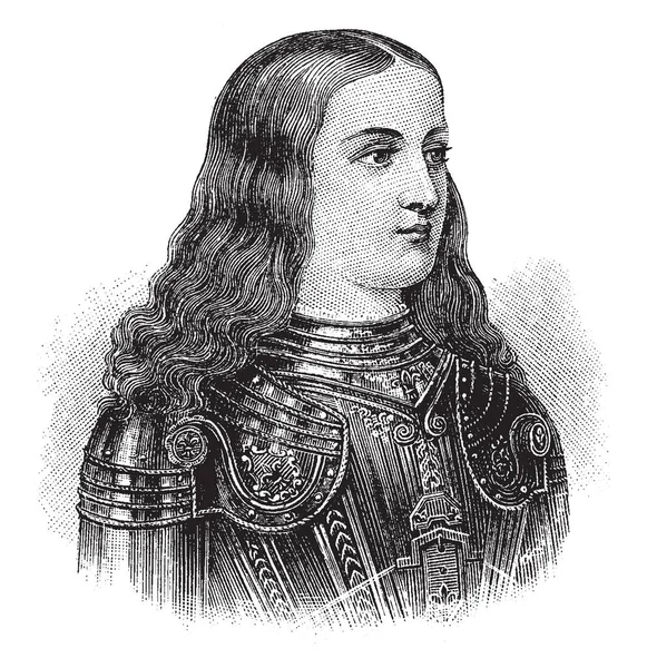 Jeanne Arc 1412 1431 Adalah Seorang Gadis Petani Yang Tinggal Stok Vektor Bebas Royalti