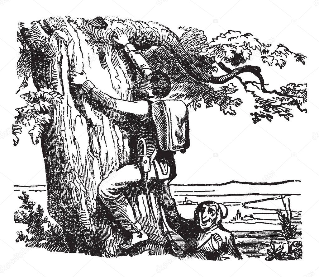 A man climbing tree and another man standing near tree giving support to him, vintage line drawing or engraving illustration