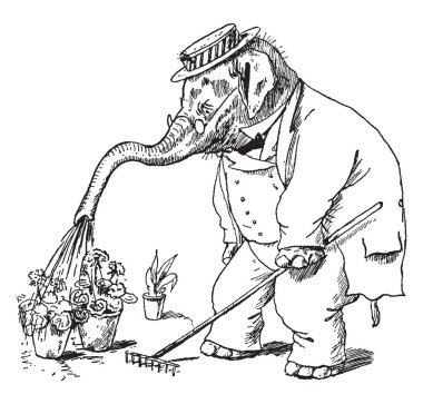 Çiçekler onun Gövde, vintage çizgi çizme veya oyma illüstrasyon ile sulama kafasına şapka ile insan elbiseli bir fil