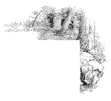 Kedi ve doğa bu sınır tasarlamak, vintage çizgi çizme veya oyma illüstrasyon.