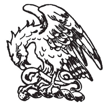 Bu onların organları, vintage çizgi çizme veya oyma illüstrasyon farklı bir tentür kret.