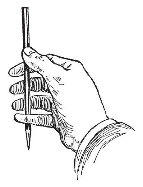 親指腕を回転モデルのラインをカバーする鉛筆の長さは 鉛筆を使用して線を推定 それは ビンテージの線描画や彫刻イラストにこの測定の割合を推定 — ストックベクタ