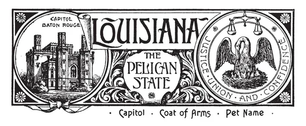 Bandeira Estado Louisiana Estado Pelicano Esta Bandeira Tem Casa Estado — Vetor de Stock