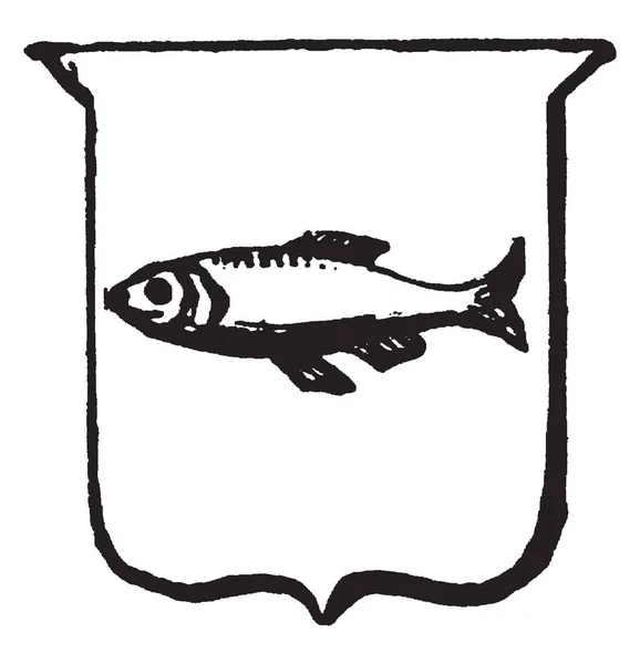 Геральдика Naiant Имеют Рыбу Щите Рисунок Винтажной Линии Гравировка Иллюстрации — стоковый вектор