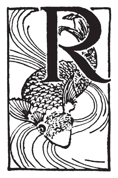 Ένα Διακοσμητικό Κεφαλαίο Γράμμα Ψάρια Εκλεκτής Ποιότητας Γραμμικό Σχέδιο Απεικόνιση — Διανυσματικό Αρχείο