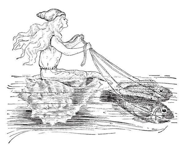 ローレライは 金魚が 匹によって描かれたチャリオットに乗っています 彼女は水の妖精 ビンテージの線描画や彫刻イラストとして知られて — ストックベクタ