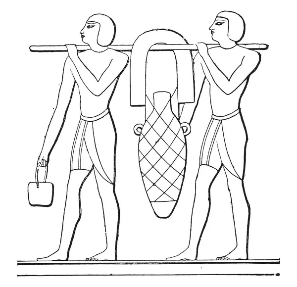 Taşıma Amfora, vintage oyulmuş illüstrasyon