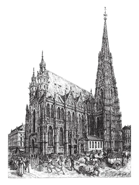 Stephen Cathedral Vídni Což Stavba Trvala Let 1368 1433 Vintage — Stockový vektor