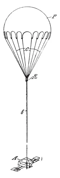 Verlengde Parachute Een Hulpprogramma Voor Chute Springen Uit Een Vliegtuig — Stockvector