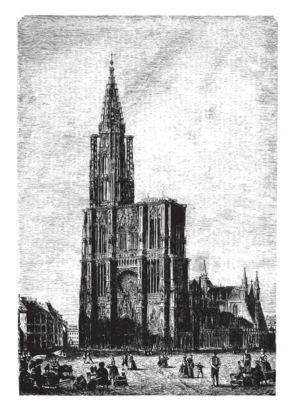 Cattedrale Strassburg Classificato Tra Più Magnifici Esempi Architettura Gotica Disegno — Vettoriale Stock