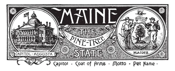 Maine Çam Ağacı Devlet Afiş Devlet Bayrağı Devlet Binası Capitol — Stok Vektör
