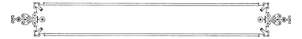 Филигранный Баннер Имеет Двойную Линию Границы Простой Баннер Рисунок Винтажной — стоковый вектор