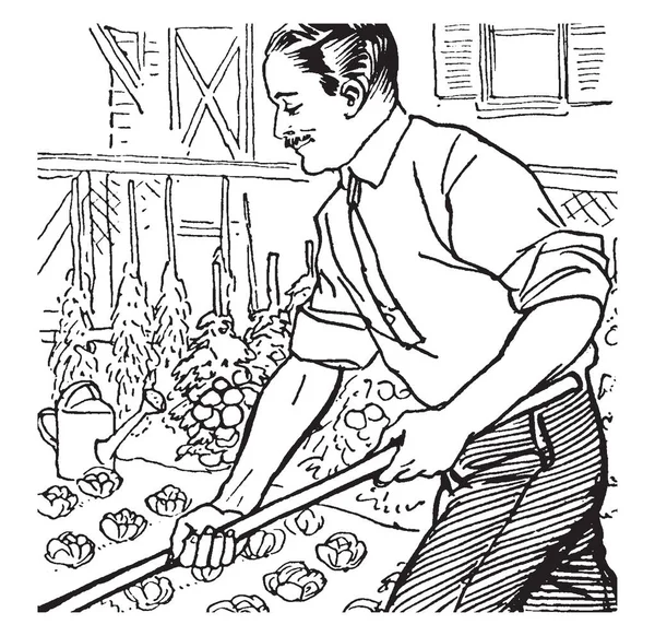 Homme Travaillant Dans Jardin Dessin Ligne Vintage Illustration Gravure — Image vectorielle