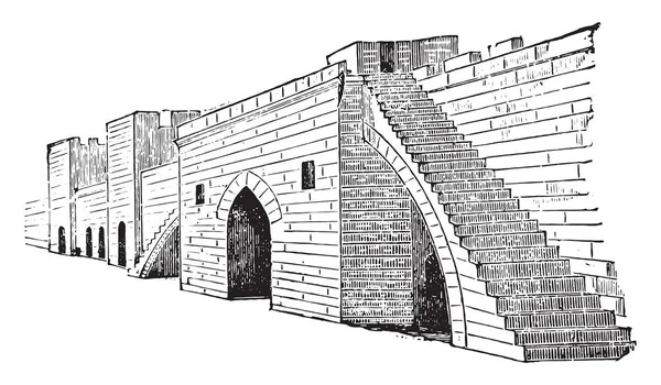 Opevnění Města Aigues Mortes Vintage Ryté Ilustrace Průmyslové Encyklopedii Lami — Stockový vektor