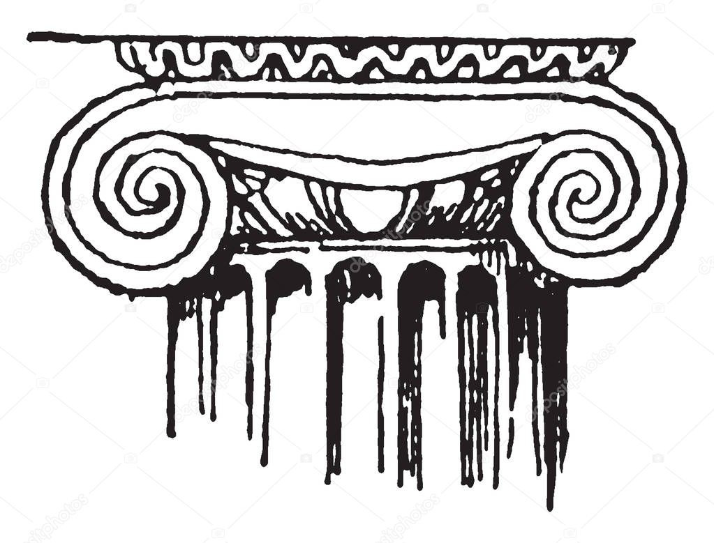 Ionic Capital, a Ionic column, illustration at top of page,  spirally coiled volutes,  the Ionic capitals of the archaic Temple,  vintage line drawing or engraving illustration. 