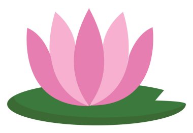 Beyaz arka planda basit pembe Lotus vektör illüstrasyon 