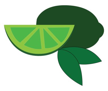 Beyaz yeşil yaprakları vektör illüstrasyon ile Gree kireç dilim 