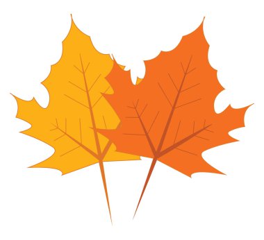 Sarı ve turuncu akçaağaç yaprakları vektör çizim beyaz arka