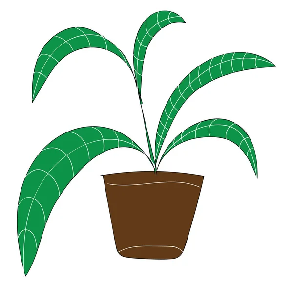 Пальмовое растение с длинными зелеными листьями в коричневом цветочном горшке — стоковый вектор
