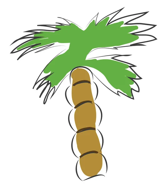 Palm boom vector illustratie op witte achtergrond — Stockvector