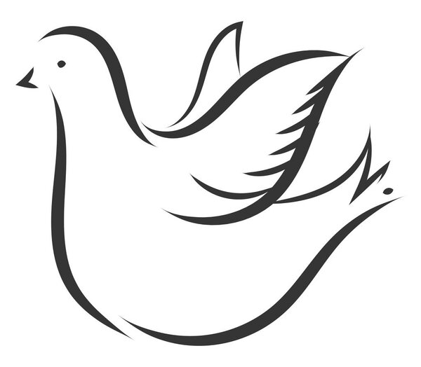 Simple sketch of a white dove vector illustration on white backg