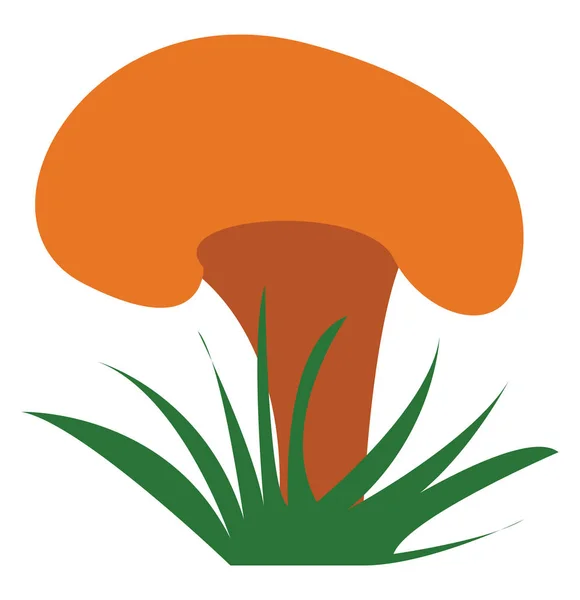 Vettore della pianta di fungo giallo o illustrazione a colori — Vettoriale Stock
