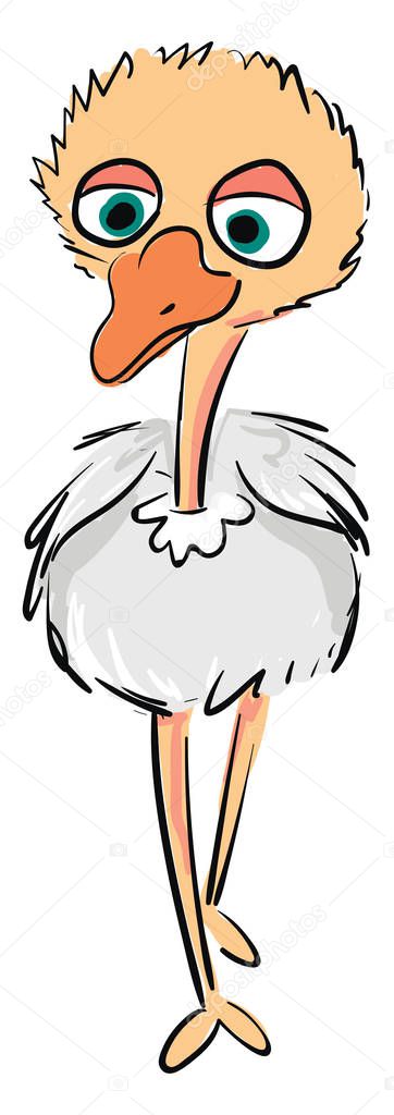 Vector illustration of a cute baby ostrich on white background 