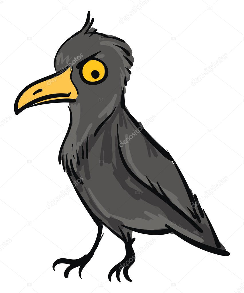 Angry crow looking down illustration color vector on white backg
