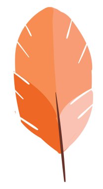 Üç renk vektör veya renk illüstrasyon tüy