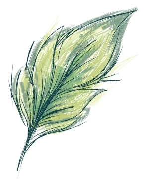 Yeşil iplik vektör veya renk illüstrasyon ile tüy