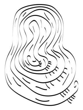 Bukleler vektör veya renk illüstrasyon deseni