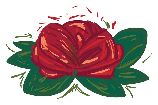 Цветок розы с вектором зеленых листьев или цветной иллюстрацией — стоковый вектор