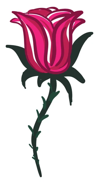 Un vector de rama de rosa roja o ilustración de color — Vector de stock