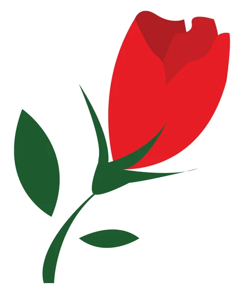 Een mooie rode tulp bloem vector of kleur illustratie — Stockvector