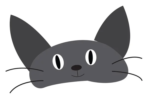 Grå baby katt ansikte vektor eller färg illustration — Stock vektor