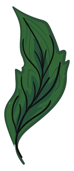 Pluma verde con vectores de veleta o ilustración en color — Vector de stock