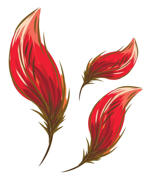 Красные лепестки, как вектор перьев или цветная иллюстрация — стоковый вектор