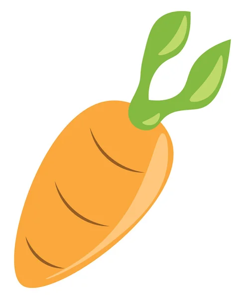 Морковь здоровый растительный вектор или цветная иллюстрация — стоковый вектор