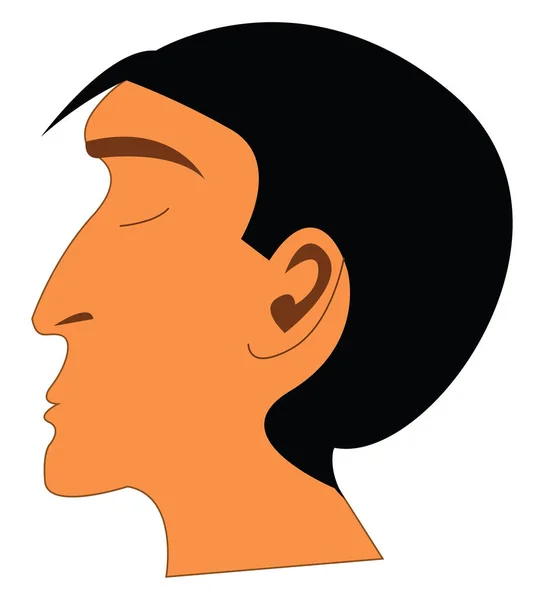 Длинный нос человека вектор или цветная иллюстрация — стоковый вектор