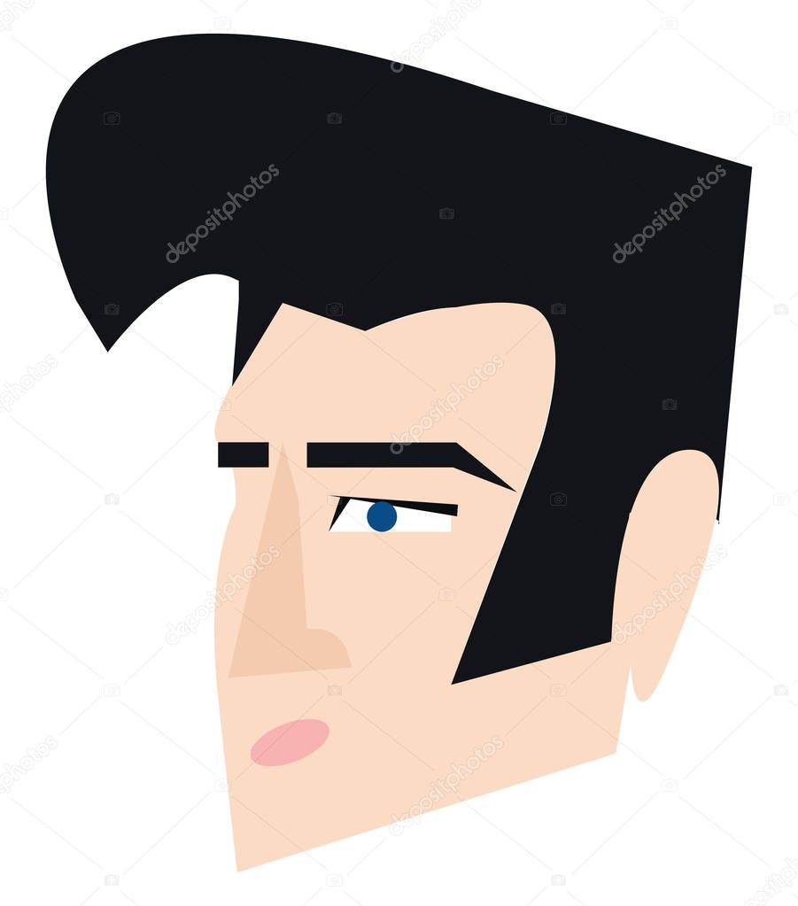 Elvis Presley hair style vector or color illustration