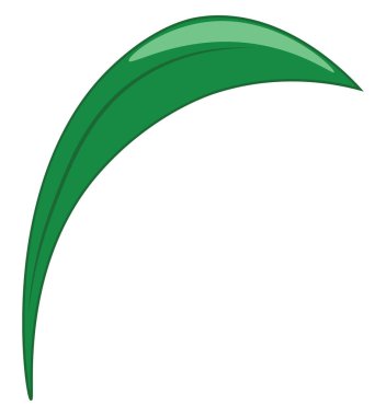 Yeşil yaprak vektör veya renk illüstrasyon