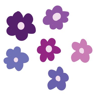 Çeşitli Bergenia vektör veya renk illüstrasyon