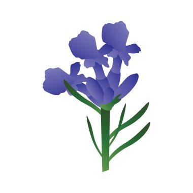 Yeşil yapraklarla mor Lavander çiçekler vektör Illustration 