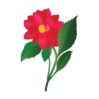 Vector illustration of bright pink dahlia flower with green leaf